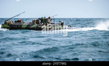 A U.S. Marine Corps Amphibious Combat Vehicle attached to Alpha Company, Battalion Landing Team 1/5, 15th Marine Expeditionary Unit, transits ship-to-shore during an amphibious assault rehearsal as a part of exercise Ssang Yong 24, in waters east of South Korea, Sept. 1, 2024. Exercise SY 24 strengthens the Republic of Korea-U.S. Alliance through bilateral, joint training, contributing toward combined amphibious capability in defense of the Korean Peninsula. (U.S. Marine Corps photo by Lance Cpl. Peyton Kahle) Stock Photo