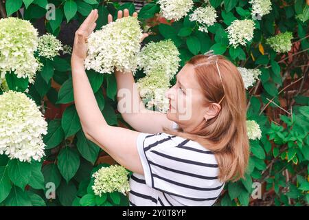 Beautiful mature woman with a  bush of panicle hydrangea in full bloom Stock Photo