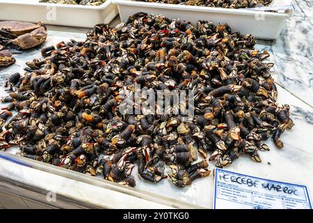 Mercado do Livramento in Setubal in Portugal. Fresh fish and food market Stock Photo