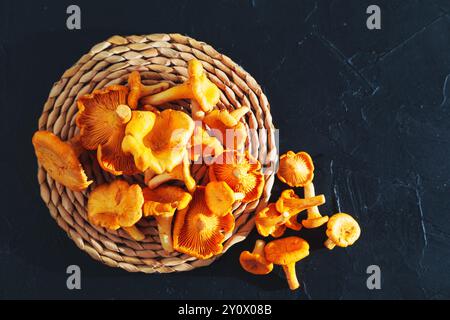 Raw fresh forest chanterelles on black slate board. Top view. Stock Photo
