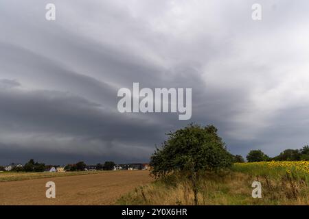 Gewitter im September Dunkle Wolken einer aufziehenden Gewitterfront sind am Morgen über den Feldern zu sehen., Kronberg Hessen Deutschland *** Thunderstorm in September Dark clouds of an approaching thunderstorm front can be seen over the fields in the morning , Kronberg Hessen Germany Stock Photo