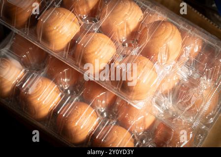 Dozens of fresh eggs in a transparent plastic tray Stock Photo
