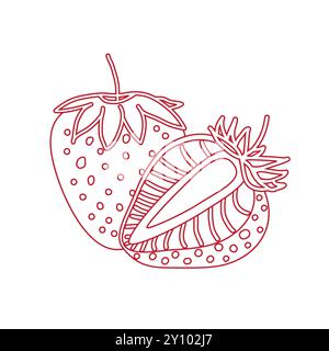 Strawberry drawing, hand drawn botanical illustration set. Collection design isolated elements for coloring book page, background, packaging, card, st Stock Vector