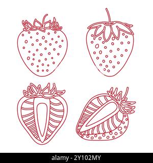 Strawberry drawing, hand drawn botanical illustration set. Collection design isolated elements for coloring book page, background, packaging, card, st Stock Vector