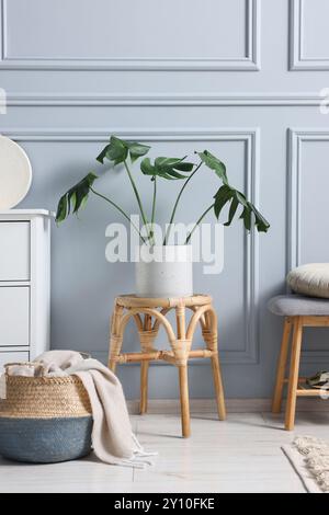 Stylish interior with stool and chest of drawers near light grey wall Stock Photo