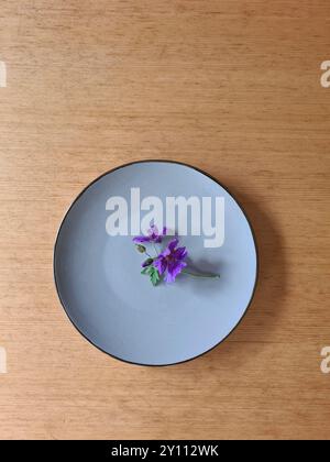 The blooming purple cranesbill flower lies on a light blue plate Stock Photo