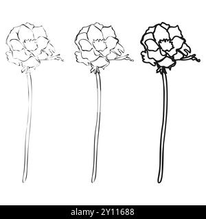 Set of Anemone continuous line drawing. Black and white Floral Bouquets. Flower Coloring Page. Floral Line Art. Fine Line Lilies illustration. Hand Dr Stock Vector