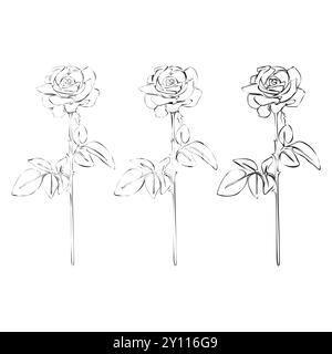 Set of Rose continuous line drawing. Black and white Floral Bouquets. Flower Coloring Page. Floral Line Art. Fine Line Lilies illustration. Hand Drawn Stock Vector