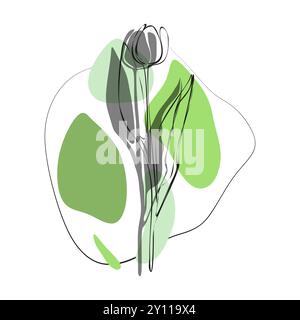 Tulip for logo, decorations, card. invitation. Hand drawn transparent line and silhouette background. Hand drawn line wedding decoration, elegant leav Stock Vector