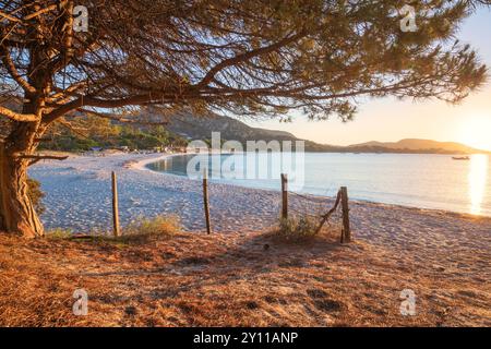 Sunrise at Plage de La Folaca, between Palombaggia and Santa Giulia. Porto Vecchio, Corse du Sud, Corsica, France Stock Photo