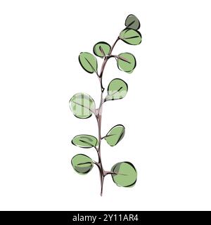Eucalyptus Line Drawing. Minimalistic colorful Floral illustration isolated on white background Stock Vector