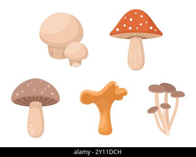 Set of forest mushrooms isolated on a white background. Flat vector illustration Stock Vector