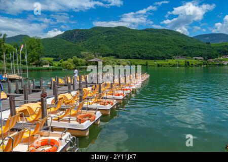 Pedal boat hire on Lake Kaltern, Kaltern, South Tyrolean Wine Road, Province of Bolzano, Alto Adige, South Tyrol, Trentino-Alto Adige, Italy, Italia Stock Photo