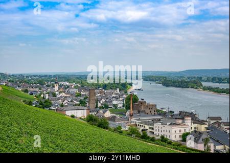 Germany, Hesse, Rheingau, Rheingau-Taunus-Kreis, Niederwald, Upper Middle Rhine Valley, Rüdesheim am Rhein Stock Photo