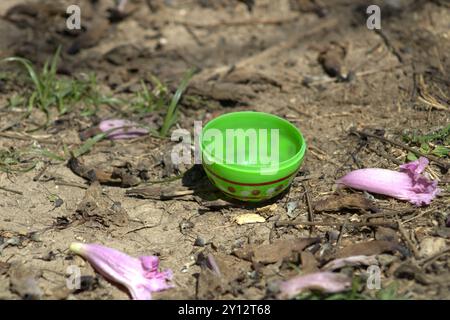 half of green plastic easter egg decoration Stock Photo