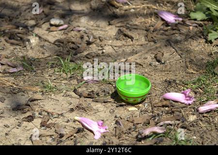 half of green plastic easter egg decoration Stock Photo