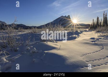 Winter landscape in front of mountains, sunrise, backlight, sun star, Brooks Range, Alaska, USA, North America Stock Photo
