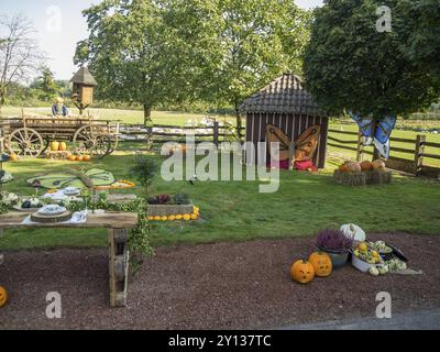 A garden with autumnal pumpkin decorations and painted butterflies on wooden huts, borken, muensterland, germany Stock Photo