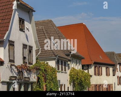 Street scene with historic half-timbered houses and striking red roof tiles, Palatinate, Rhineland-Palatinate, Germany, Europe Stock Photo