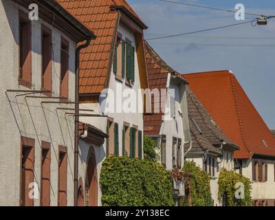 Street with pretty half-timbered houses and colourful windows under a blue sky, Palatinate, Rhineland-Palatinate, Germany, Europe Stock Photo