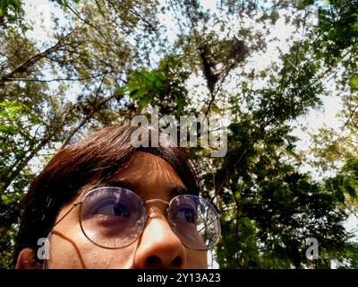 View inside of a pine forest Stock Photo