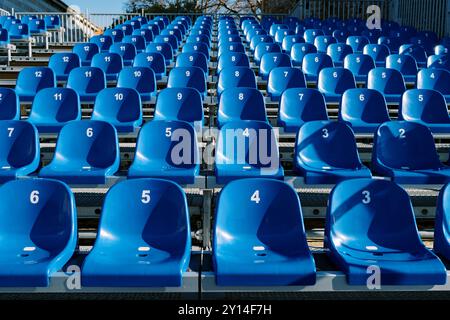 Blue numbered seats are arranged in tiers in the stadium Stock Photo