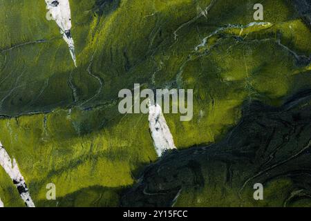 High-quality texture of green onyx stone with intricate natural patterns. Stock Photo
