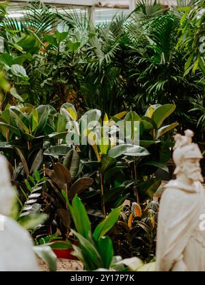 Many different plants in flower pots in flowers store. Garden center and wholesale supplier concept. Green background. Lots of leaves. Stock Photo