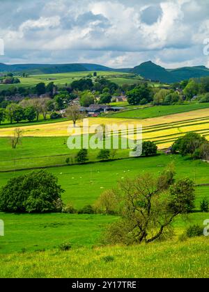 Farm buildings in landscape near Longnor in the Peak District National Park Staffordshire England UK. Stock Photo