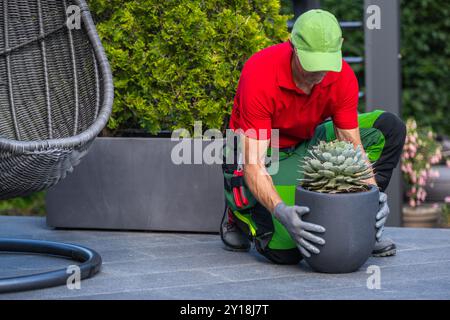 A gardener in a red shirt and green pants carefully places a succulent into a stylish pot on a contemporary patio surrounded by greenery. Stock Photo