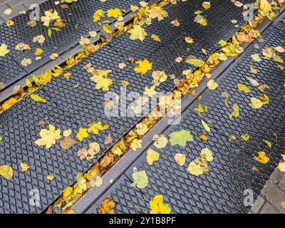 fallen yellow leaves on wet narrow-track railway and metal floor plates. Stock Photo