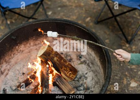 Roasting marshmallows over a campfire with a stick Stock Photo