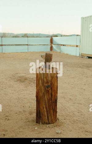 An axe embedded in a tree stump in a sandy yard Stock Photo