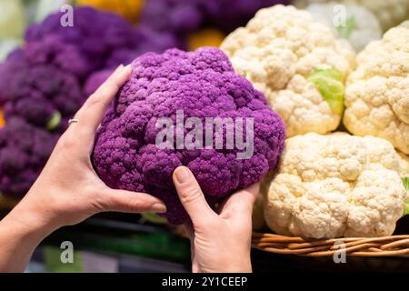 Hands hold a bunch of purple cauliflower against the background of a store counter. Buy vegetables. Stock Photo