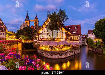 Village of Esslingen am Neckar in Germany at dusk Stock Photo