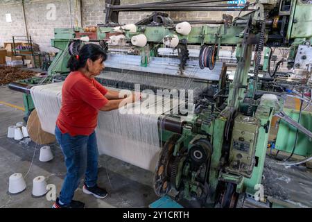 A worker demonstrates the powerloom weaving machine at Hilandería Warmi, a weaving mill in Palpalá, Argentina. Stock Photo