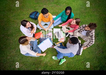 View above group diverse Gen z university students going through syllabus sitting in circle on grass Stock Photo