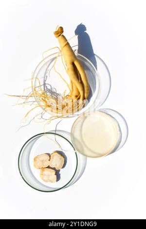 Abstract cosmetic laboratory. Ginseng Root and Liquid in perti dish Stock Photo