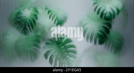 Tropical monstera plant behind reeded glass panel. Abstract botanical background with green foliage. Greenhouse architecture interior design. Asian in Stock Photo