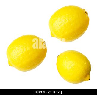 Top view set of three fresh ripe yellow lemon fruits is isolated on white background with clipping path. Stock Photo