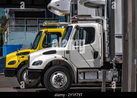 Middle duty compact bonnet day cab rigs semi trucks with refrigerated box trailers standing on the industrial warehouse parking lot waiting for the ne Stock Photo