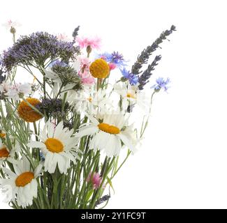 Bouquet of beautiful wildflowers isolated on white Stock Photo