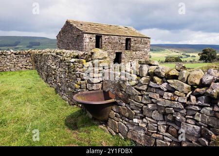 Traditional field barn and dry stone wall (with old bath for livestock watering), Burtersett, Hawes, Wensleydale, Yorkshire Dales National Park Stock Photo