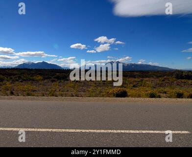 the Grassland is an underestimated ecological feature Grassland an ...