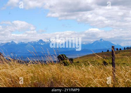 the Grassland is an underestimated ecological feature Grassland an ...