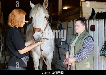 Two women engaging in conversation about horse care in stable setting with white horse standing calmly between them Stock Photo
