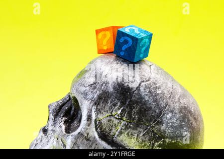 Skull next to colorful cubes with question marks that represent its unanswered questions Stock Photo