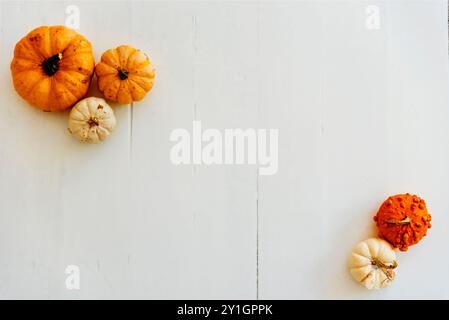 Autumn background with thanksgiving pumpkins decor frame on white wooden floor. Empty table in cozy home. Flat lay. Halloween mockup. Stock Photo