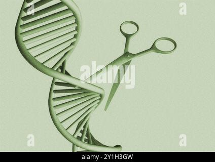 Scissors cutting DNA (deoxyribonucleic acid) helix, illustration. Stock Photo