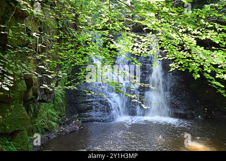 Goit stock waterfall, and Hallas beck, Harden, West Yorkshire Stock Photo